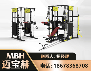 临夏多功能综合训练器